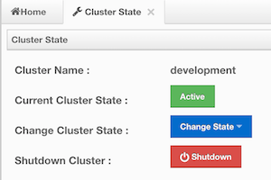 Cluster State Operations