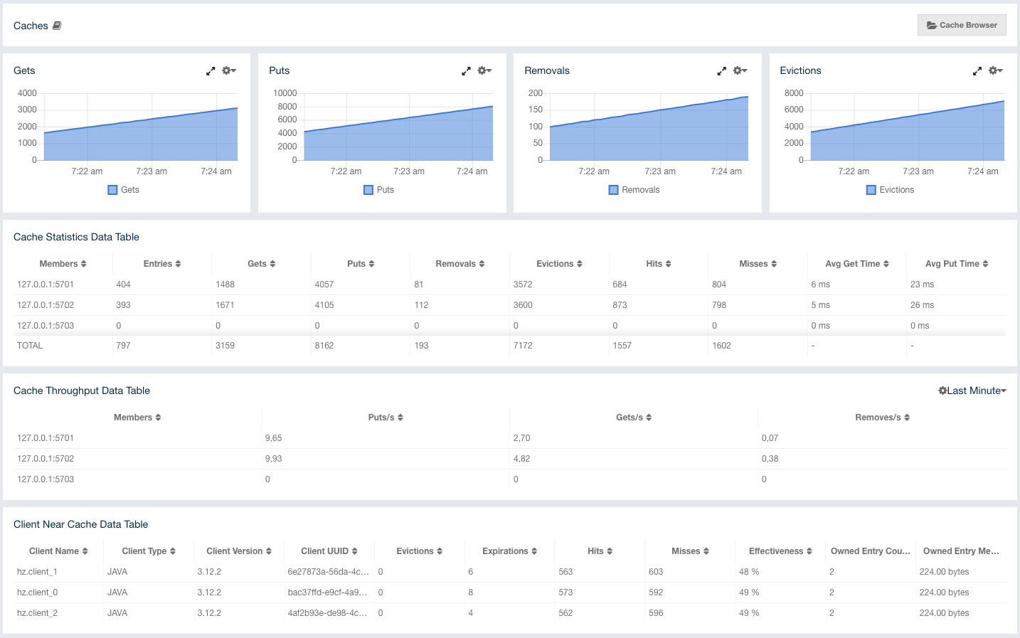 Monitoring Caches