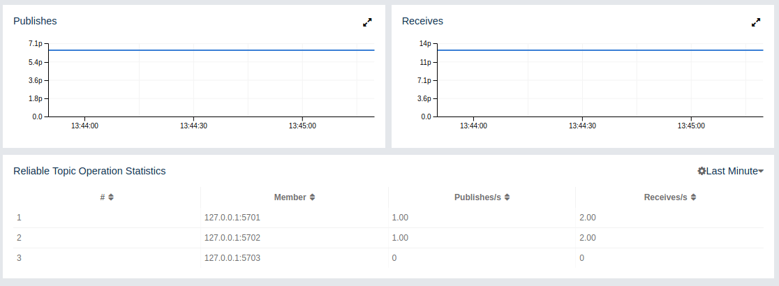 Monitoring Reliable Topics