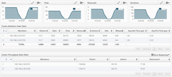 Monitoring Caches